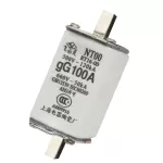 Cầu Chì RT16 - 100A